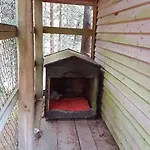 山林小屋 Krpacovo, Nizke Tatry - Na Kraji Lesa *